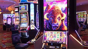 agen101 slot featured game showcase